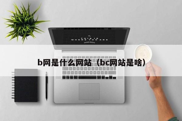 b网是什么网站（bc网站是啥）