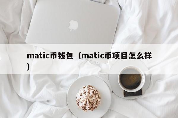 matic币钱包（matic币项目怎么样）