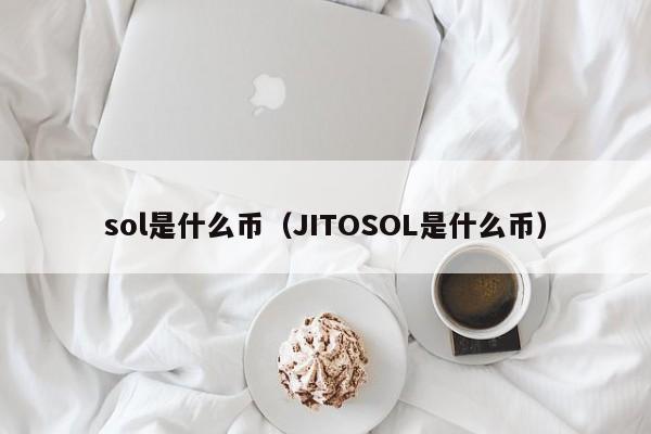 sol是什么币（JITOSOL是什么币）