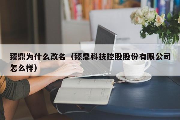 臻鼎为什么改名（臻鼎科技控股股份有限公司怎么样）