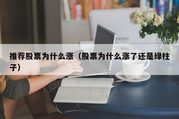 推荐股票为什么涨（股票为什么涨了还是绿柱子）