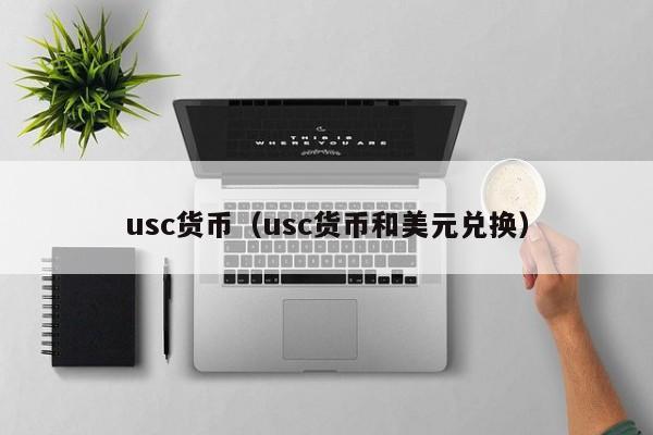 usc货币（usc货币和美元兑换）