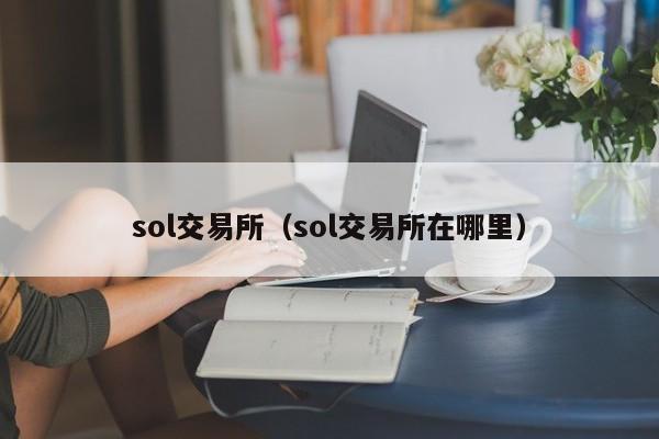 sol交易所（sol交易所在哪里）